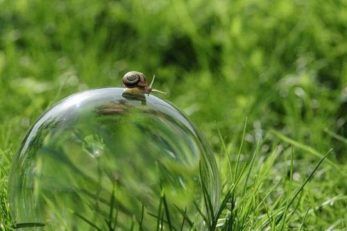 snail-2946075_640